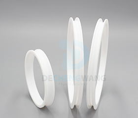 PTFE Ring