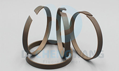 PTFE guide ring