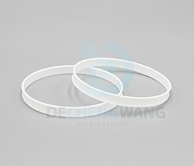 Two back-up PTFE Rings in display