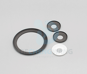 PTFE Seal