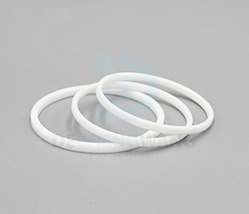 PTFE Seals